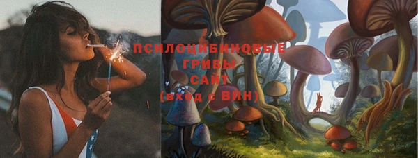 дживик Зеленокумск