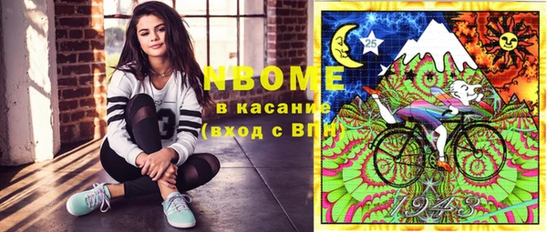 Альфа ПВП Инсар