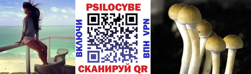Галлюциногенные грибы Magic Shrooms  Купить где  Всеволожск 
